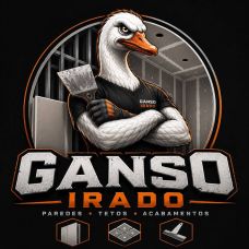 Ganso Irado - Isolamentos - Vila Nova de Gaia