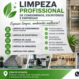 LA Clean - Mold Inspection and Removal - Pedroso e Seixezelo