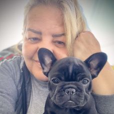 Claudia Dicar - Pet Sitting e Pet Walking - Viseu