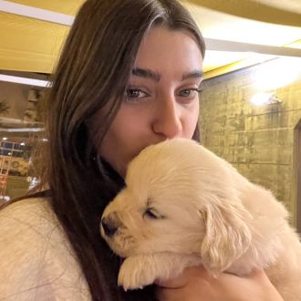 Mara Cortez - Hotel e Creche para Animais - Lousã