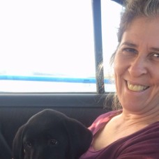 Lucas Fernandes - Hotel e Creche para Animais - fixando.pt