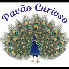 Pavão Curioso - Mudanças - Leiria
