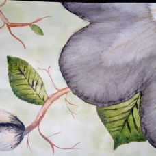 Alexandra Costa Events - Floristas - Lisboa