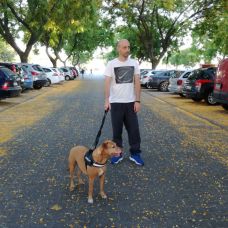 Pet sitting e Dog walking Faro Algarve - Cuidados para Animais de Estimação - Portimão