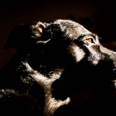 @betopasseri - Fotografia - Aveiro