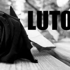 Vi S. - Sofa Cleaning