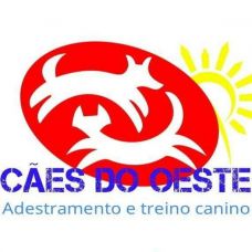 C&Atilde;ES DO OESTE - Adestramento e treino canino - Treino de Animais - Lisboa