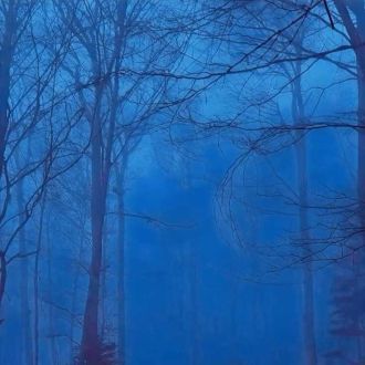 Anónimo - Instalação ou Substituição de Calhas