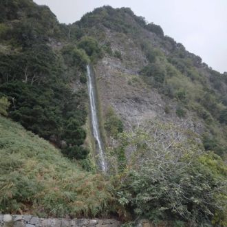 Nelson S. - Reparação ou Manutenção de Telhado