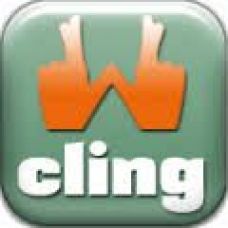 CLINGWIN - Escrita e Transcri&ccedil;&atilde;o - Viana do Castelo