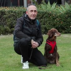 Pedro Lopes - Creche para Cães - Carnaxide e Queijas