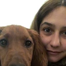 Dog walking / pet sitting com Ligia Fao - Cuidados para Animais de Estimação - Miranda do Corvo
