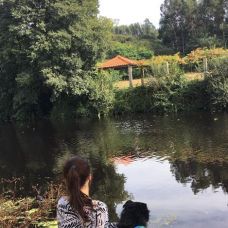 Joana Sousa - Pet Sitting e Pet Walking - Braga