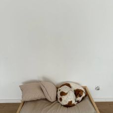 4patas - Dog Sitting - Canidelo