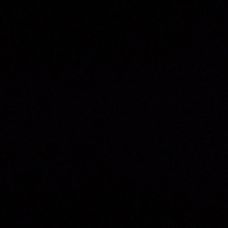 Monalisa - Cuidados para Animais de Estima&ccedil;&atilde;o - Viana do Castelo