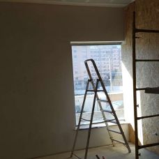 Miguel M. - Genealogia