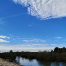 Jo&atilde;o - Escrita e Transcri&ccedil;&atilde;o - Viana do Castelo
