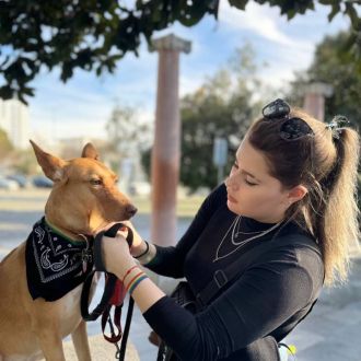 Miriam Sá - Treino de Cães - 1040