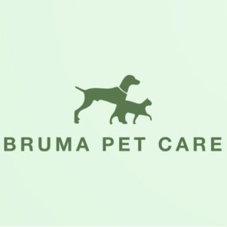 BPC | Treino canino, pet sitting e dog walker - Treino de Cães - Barcelos