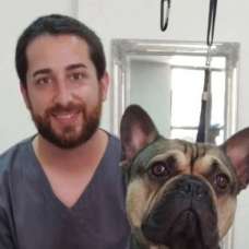 Miguel Oliveira - Cuidados para Animais de Estimação - Setúbal