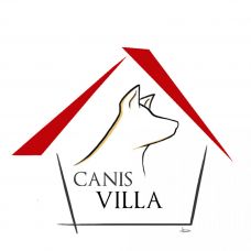 CANISVILLA - Pet Sitting e Pet Walking - Lisboa