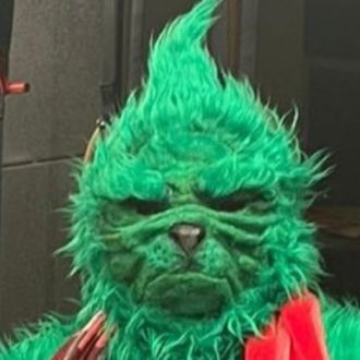 Mr.Grinch - Animação - Personagens e Mascotes - Trofa