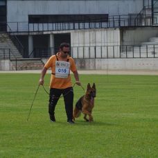 Tiago Baptista - Treino de Cães - Guimarães