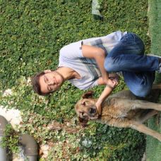 Daniel Garcia Educador Canino - Modificação de Comportamento Animal - Cidade da Maia