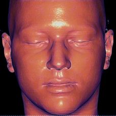 B&aacute;rbara Ros&aacute;rio - Aulas de Artes, Flores e Trabalhos Manuais - Aveiro