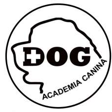 PositiveDog&Terapy Academia Canina - Treino de Cães - Lisboa