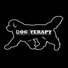 PositiveDog&amp;Terapy - Pet Sitting e Pet Walking - Lisboa
