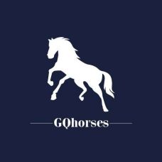 GQhorses - Aulas de Desporto - Aveiro
