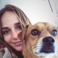 Dogs, walks & waves - Hotel e Creche para Animais - Figueiró dos Vinhos