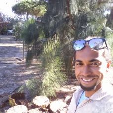 Ernani Costa - Poda e Manutenção de Árvores - Costa da Caparica