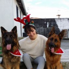 Joana Almeida - Creche para Cães - Pousada de Saramagos