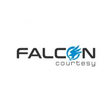 Falcon Courtesy - Ladrilhos e Azulejos - Porto