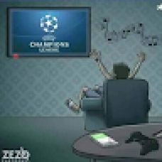 Fortes - Treino de Animais - Santa Maria da Feira