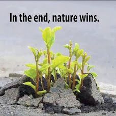 David Santos - Entregas e Estafetas - Rio Maior