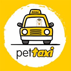 Llama Pet Taxi - Pet Sitting e Pet Walking - Matosinhos