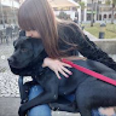 yukapetsitting - Hotel e Creche para Animais - Vila Verde