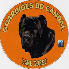 Guardiões do Candal k9 - Treino de Cães - Aulas - Sandim, Olival, Lever e Crestuma