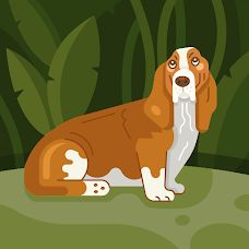 Isabelly - Pet Sitting e Pet Walking - Barcelos