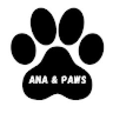 Ana & paws - Dog Walking - Canidelo