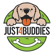 Just4Buddies - Creche para Cães - Queluz e Belas