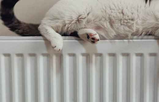 Furnace and Heating System Repair or Maintenance - Boilers