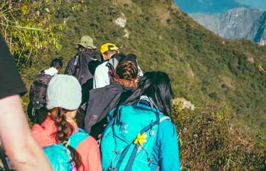 Transportation and Private Tours - Paredes