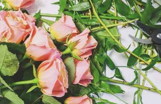 Florista - Arranjo
