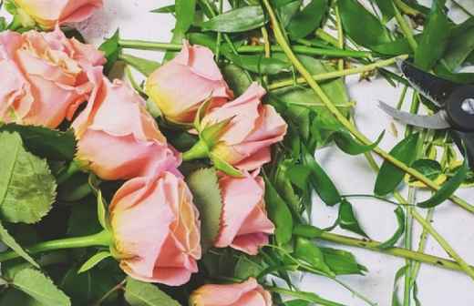 Florista - Castelo Branco
