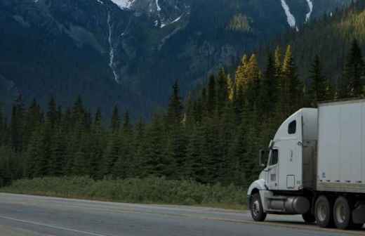 International Moving - International