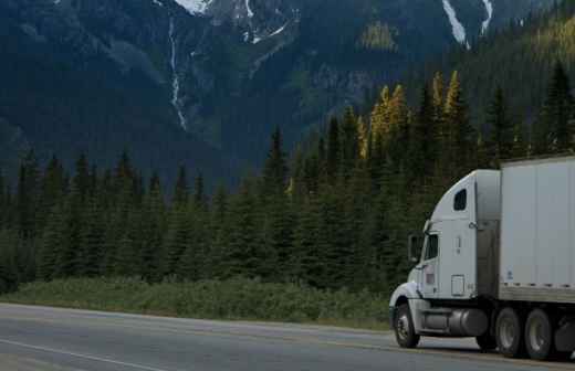 Internationale Umzüge - Schlepper